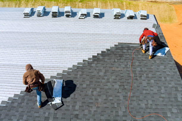 Best Roof Gutter Cleaning  in Homestead Valley, CA