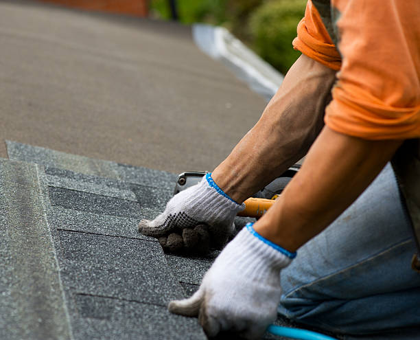 Best Storm Damage Roof Repair  in Homestead Valley, CA