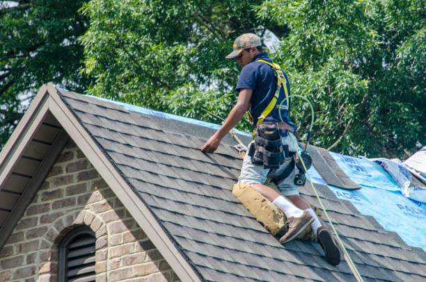 Roof Waterproofing Services in Homestead Valley, CA